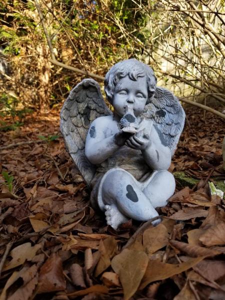 angel sitting in dead leaves